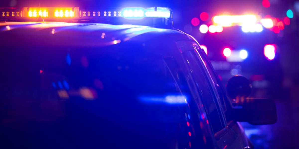 Local business owners respond to Trussville Police videos cracking down on shoplifting