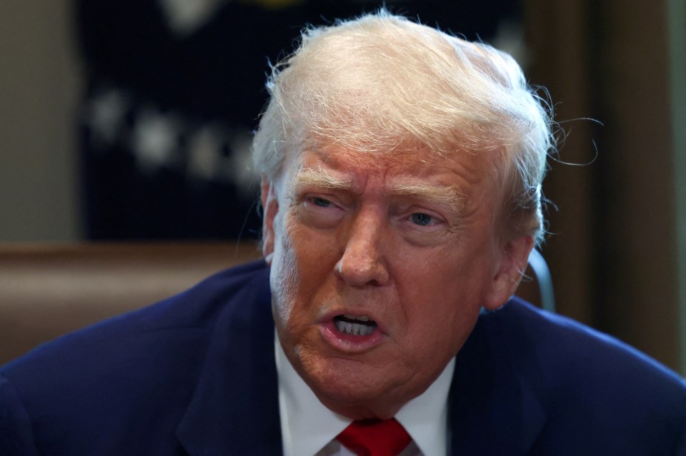 FILE PHOTO: U.S. President Donald Trump speaks during a cabinet meeting at the White House in Washington, D.C., U.S., April 30, 2025. REUTERS/Evelyn Hockstein/File Photo