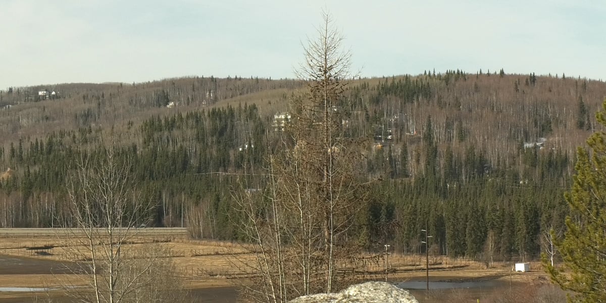 Climate scientists expect Fairbanks to ‘green-up’ in just over a week