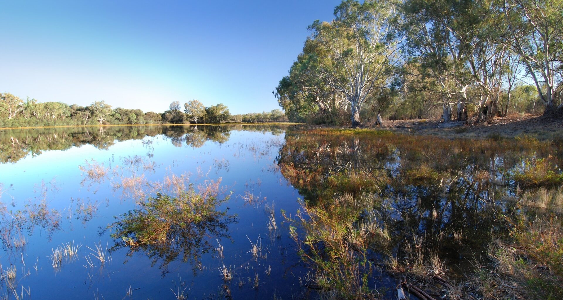 Department for Environment and Water