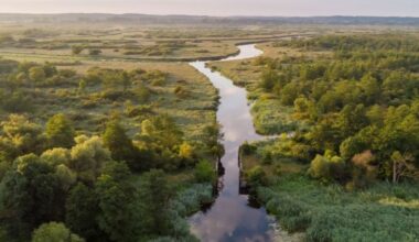 Poland moves forward with first national park in 25 years