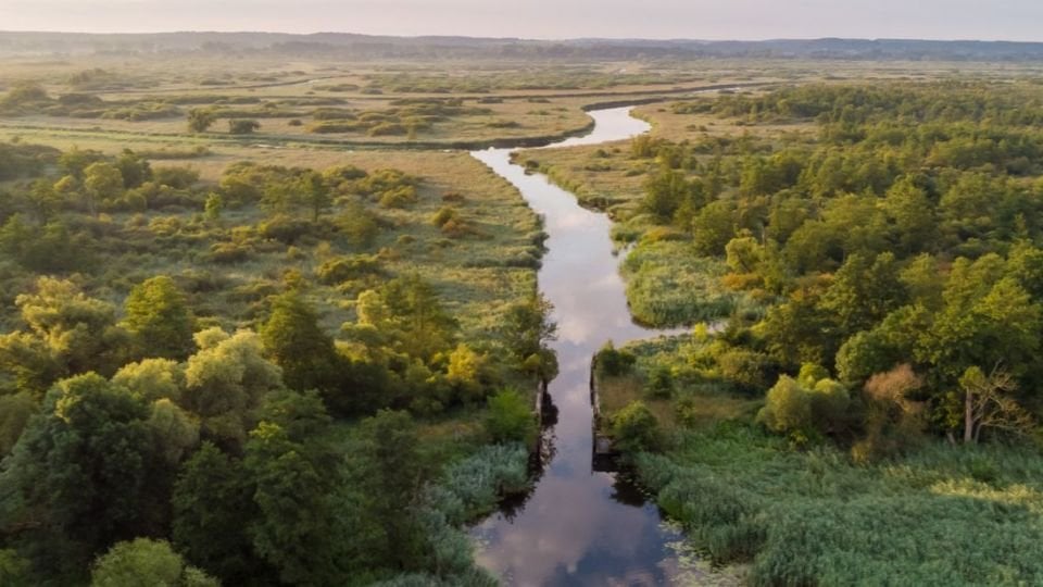 Poland moves forward with first national park in 25 years