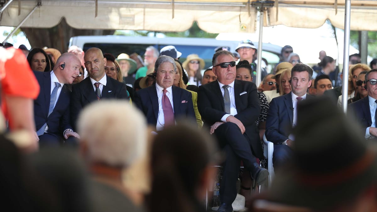 Waitangi Tribunal review to kick off this year, Government confirms