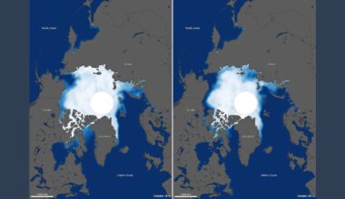 New Study Reveals Recent Ice Gains in Antarctica, But Long-Term Melting Continues