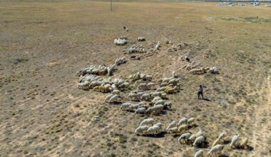 Disastrous back-to-back heatwaves and droughts surge across Eurasia