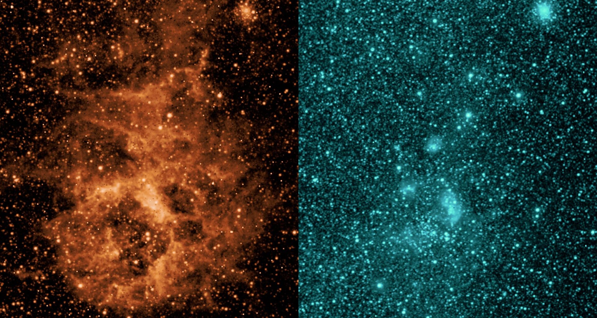 NASA’s SPHEREx space telescope makes its debut