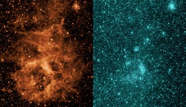 NASA’s SPHEREx space telescope makes its debut
