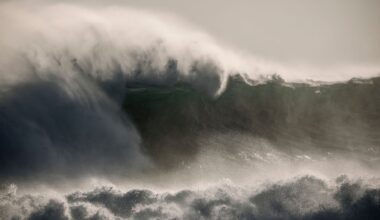 Scientists Issue Dire Warning Oceans Rising Twice As Fast, Even If Climate Goals Are Met