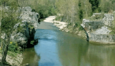 Italia Nostra - Associazione Nazionale per la tutela del patrimonio storico, artistico e naturale della Nazione