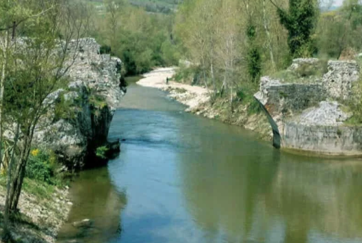 Italia Nostra - Associazione Nazionale per la tutela del patrimonio storico, artistico e naturale della Nazione