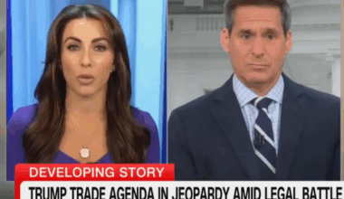Wall St’s TACO tariff code is good for Trump, ‘If he can take the win,’ ex-staffer reveals to CNN