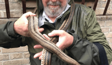 Talking Animals: Veteran science journalist Stephen S. Hall recounts reporting and research that yielded Slither, singular book on snakes