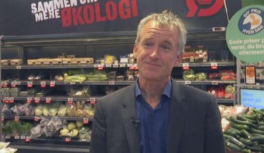 Hoe Nederland van Denemarken kan leren als het gaat om biologisch voedsel: 'Geen reden waarom het jullie niet zou lukken'