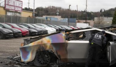 Tesla owners are not your enemies -- don't punish them for Elon Musk's actions (Letters)