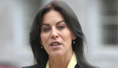 More Children’s Health Ireland board members resign – The Irish Times