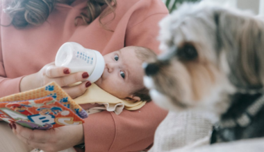 Fewer children in Moldova are fed appropriately in first two years of life