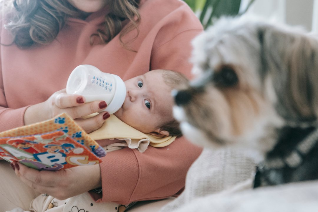 Fewer children in Moldova are fed appropriately in first two years of life