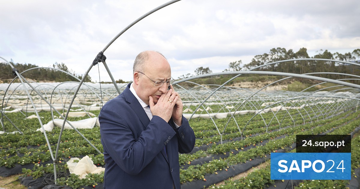 Portugal recusa junção de apoios da UE à agricultura num fundo único