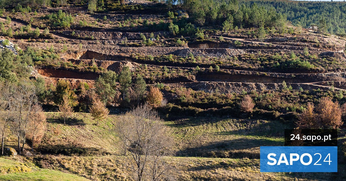 Portugal esgota na segunda-feira recursos naturais disponíveis para 2025
