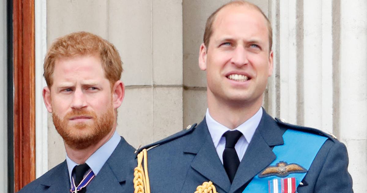 Were Prince Harry and William Excluded From Uncle's $2M Fortune?