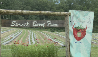 Local farm affected by cuts from the Department of Government Efficiency