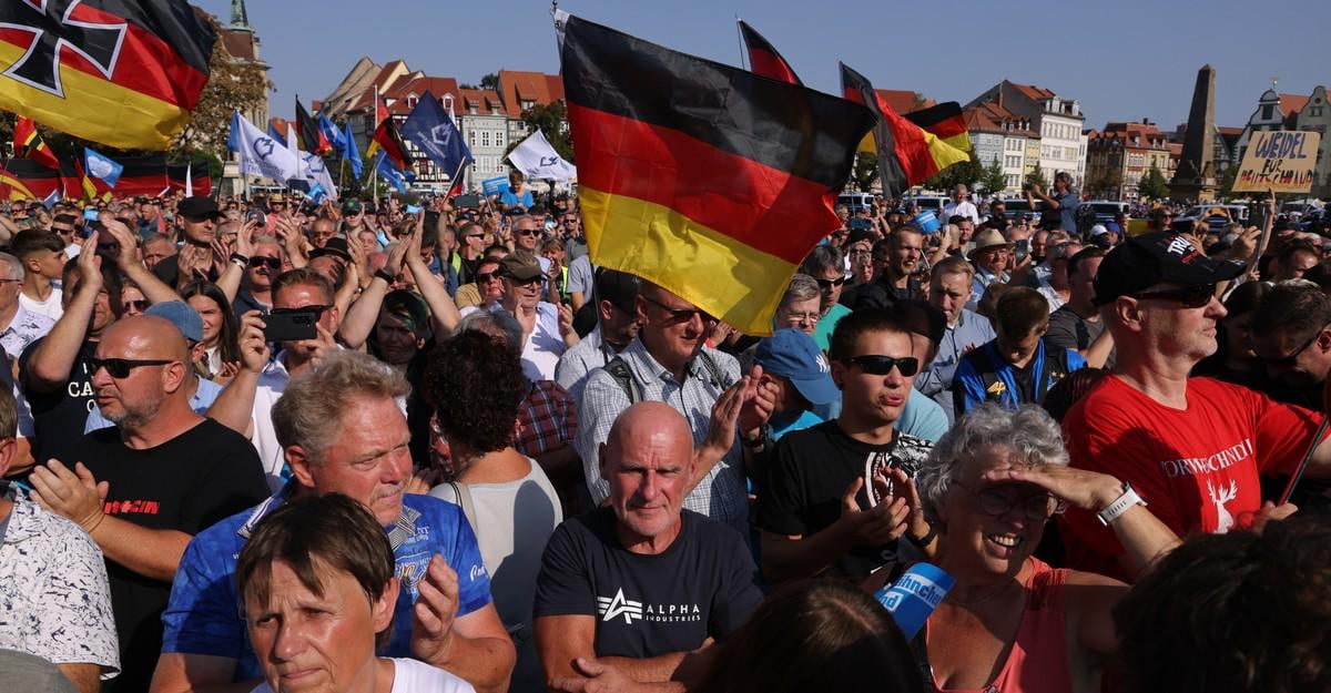 Is the AfD Too Extreme for Democracy?