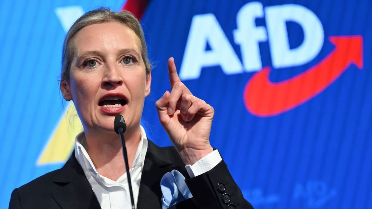 AfD im Visier des Verfassungsschutzes - Gutachten enthüllt radikale Netzwerke und Ideologie