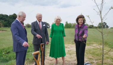 Charles and Camilla plant ‘beautiful’ Swedish oak with King and Queen of Sweden – The Irish News