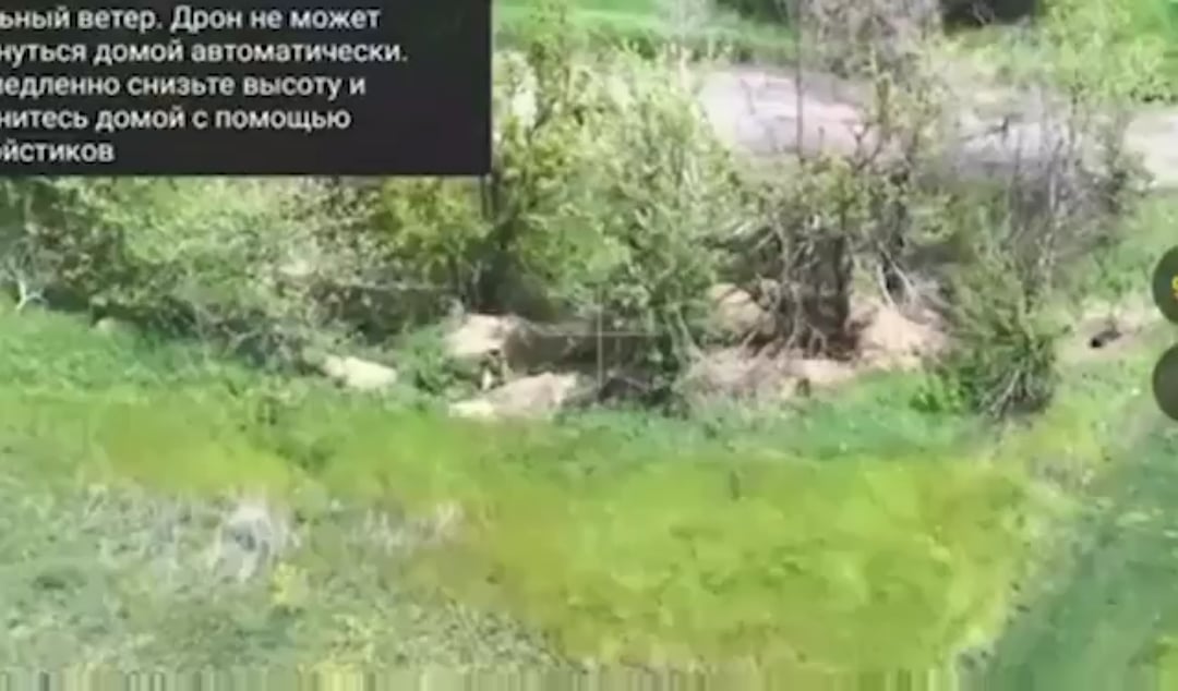Russian soldiers heroically stormed out of their trench only to be hit by Ukrainian cluster shell. May 2025 [Published 28.05.2025]