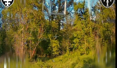 Ukrainian fiber optic drone flew through a dense forest to hit Russian UAV operators. SIGNUM Battalion, Lyman direction. May 27, 2025