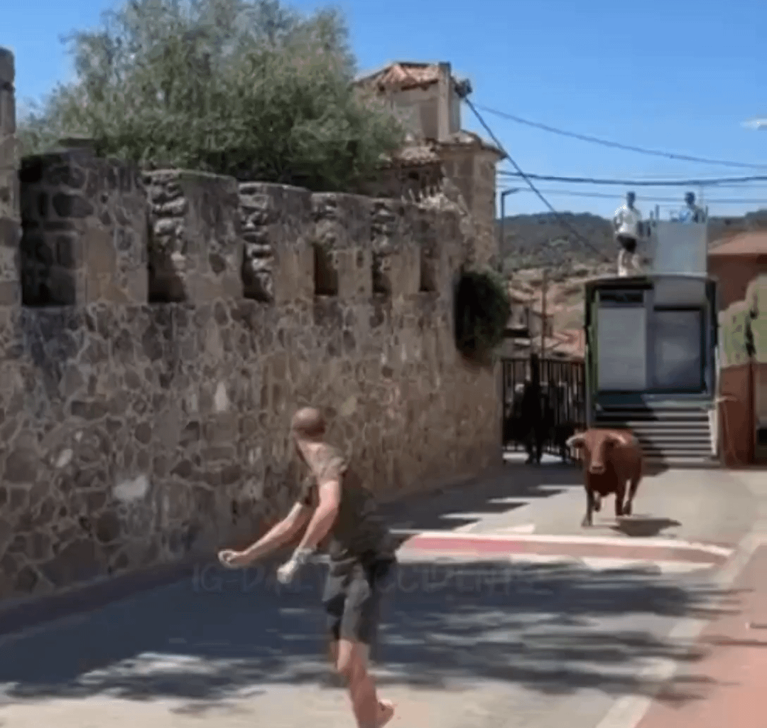 Another nice video of a guy getting fucked by a bull.
