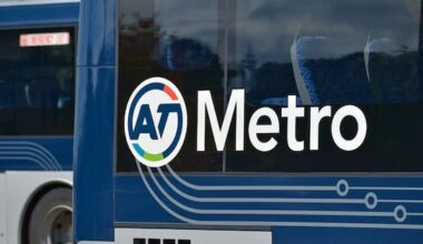 Bus driver stood down after man with head injury later died