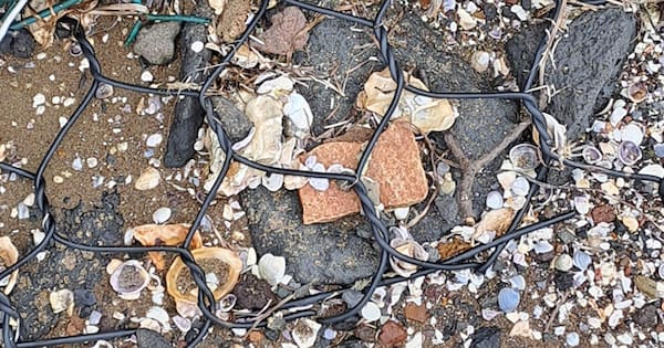 Asbestos-containing materials wash up on east Auckland beaches