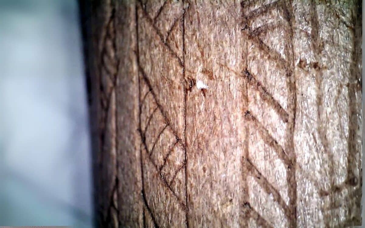 A Section Of The Ornamentation On The Antler. Credit Lars Larsson)