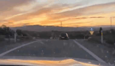 El perro persigue al coche de su dueño después de abandonarlo en Almeria