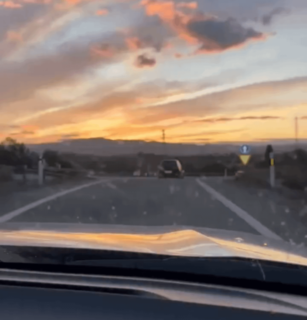 El perro persigue al coche de su dueño después de abandonarlo en Almeria