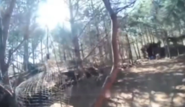 Ukrainian soldier destroyed a Russian fiber optic FPV drone with the help of his shotgun/hunting rifle. Serebryansky forest, Luhansk region. [Published 25.05.2025]