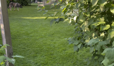 Abendlicher Rundgang durch den Garten