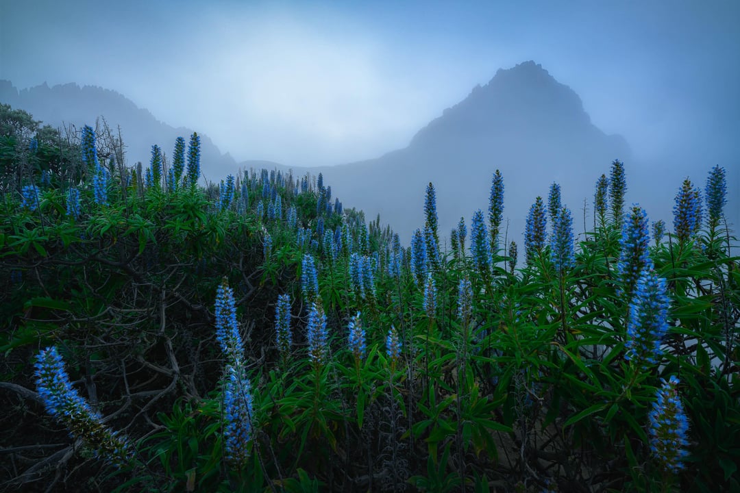 Paisajes de Gran Canaria [OC]