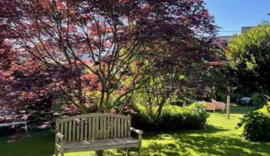 Sitze gerade im Garten. Bin sehr zufrieden aber wie weit die Feigen schon sind ist echt erschreckend…