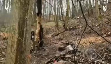 Ukrainian Forces captures six Russians fighters in the Belgorod region.
