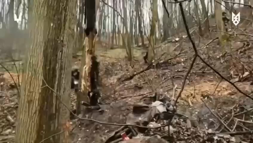 Ukrainian Forces captures six Russians fighters in the Belgorod region.