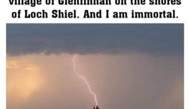 Highlander