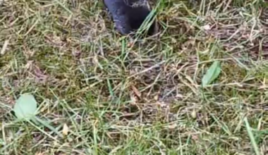 Besuch im Moos!