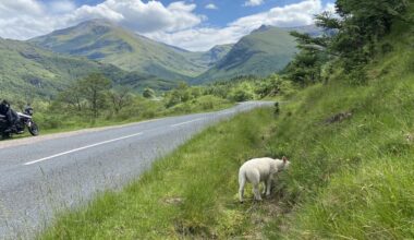 Love Scotland