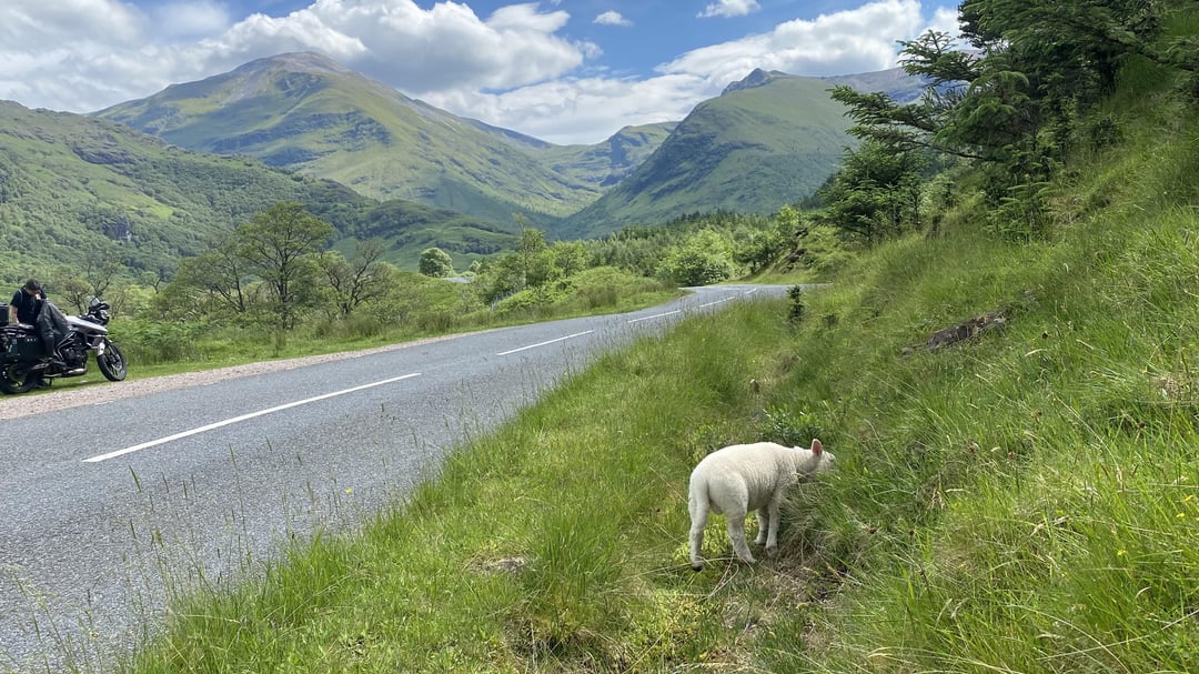 Love Scotland