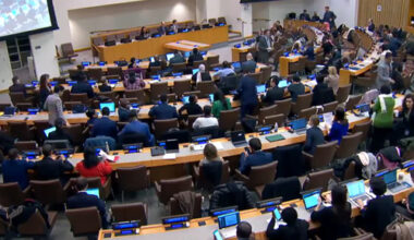 The UN General Assembly Third Committee adopts the North Korean human rights resolution by consensus in November 2023. [SCREEN CAPTURE]