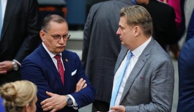 AfD unter Druck: Mehrheit der Deutschen für Verbotsverfahren