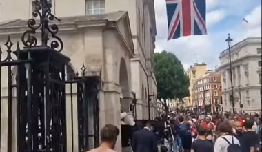 Unreal Man Headbutts Kings Horse at Horse Guards Parade