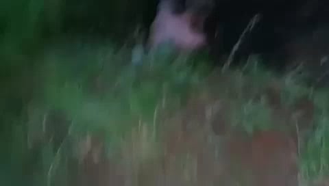 Russian soldiers who refused to fight were put in a pit of shame and after a few days drunken officer promised the winner of the duel the opportunity to get out of the pit